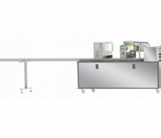 �ԄӠZ��C���Z������